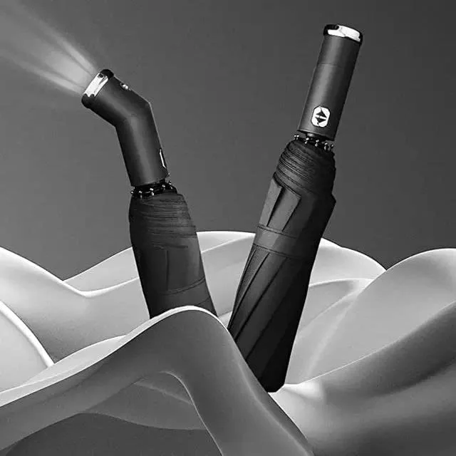 2 Light Umbrella